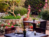 Naama Bay Promenade Beach Resort