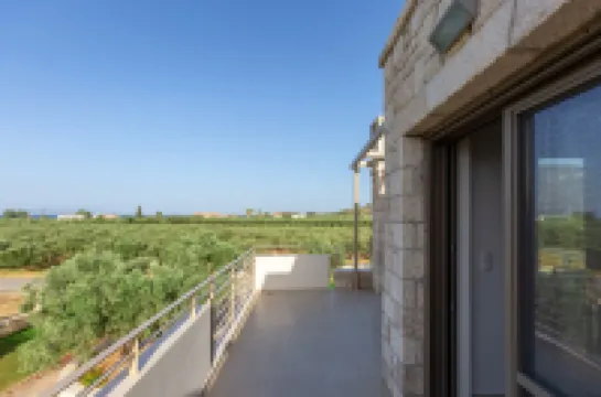 阿扎裡終生記憶