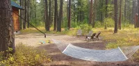 Alpine Woods cabin close to trails, ski in/out