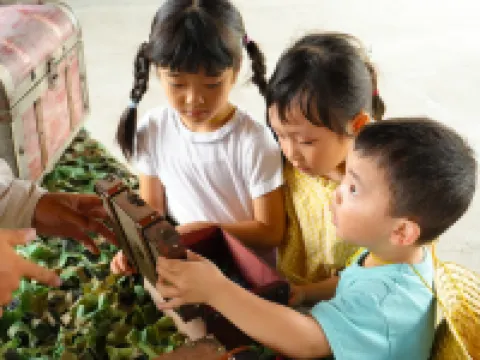 Bub Resort Chosei Village - Campground 長生村のホテル