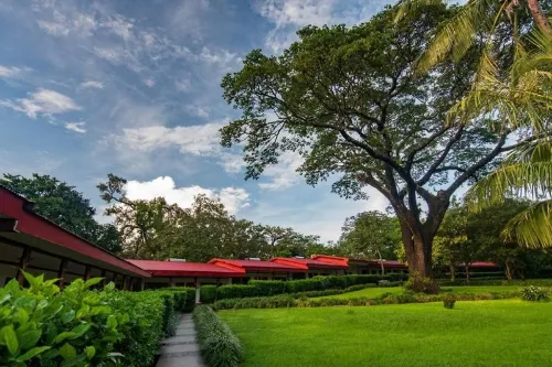 Hacienda Guachipelin Volcano Ranch Hotel & Hot Springs - 4-Star