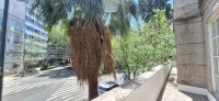 Suites Petit Polanco