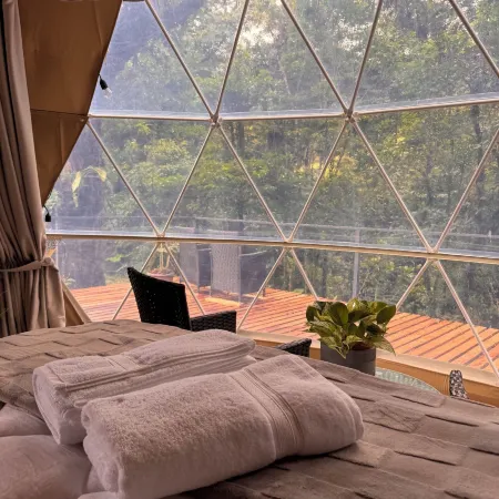 Epifita, Bosque Nuboso Glamping Monteverde