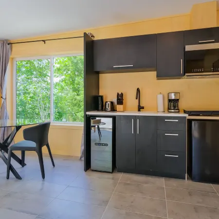 Bel Air Tremblant ANTARCTICA : 1 CHAMBRE, JACUZZI, SAUNA
