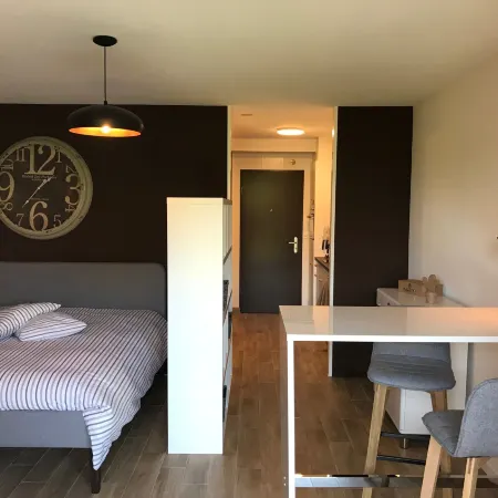 Large Studio Near Epfl and Lausanne City Center