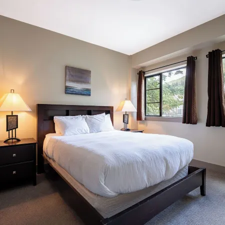 Selkirk Snug by Revelstoke Vacations