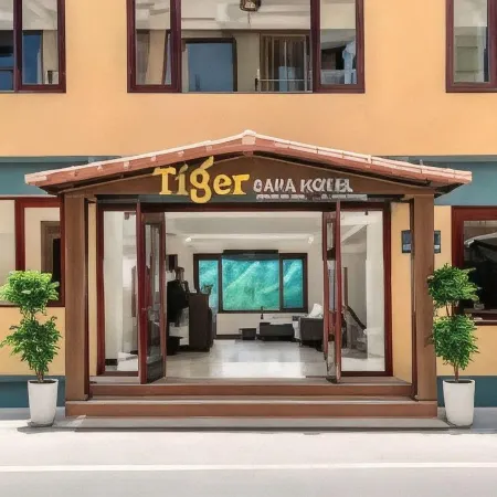Tiger Sapa Hotel
