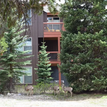 Cozy 1-bedroom condo in charming Winter Park, CO
