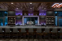 Marriott Dallas Allen Hotel & Convention Center - bar