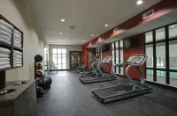 Hampton Inn & Suites Ardmore - Gym