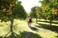 Herdade da Matinha Country House & Restaurant - Villas