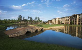 The Woodlands® Resort, Curio Collection by Hilton