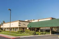 Stockton Inn - Pet friendly