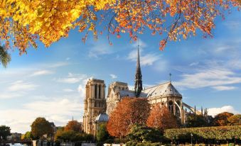 a picturesque scene of notre dame cathedral surrounded by trees and river , with autumn leaves in the foreground at Adonis Paris Sud