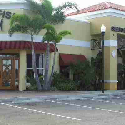 Hilton Garden Inn Tampa Northwest/Oldsmar Hotel Exterior