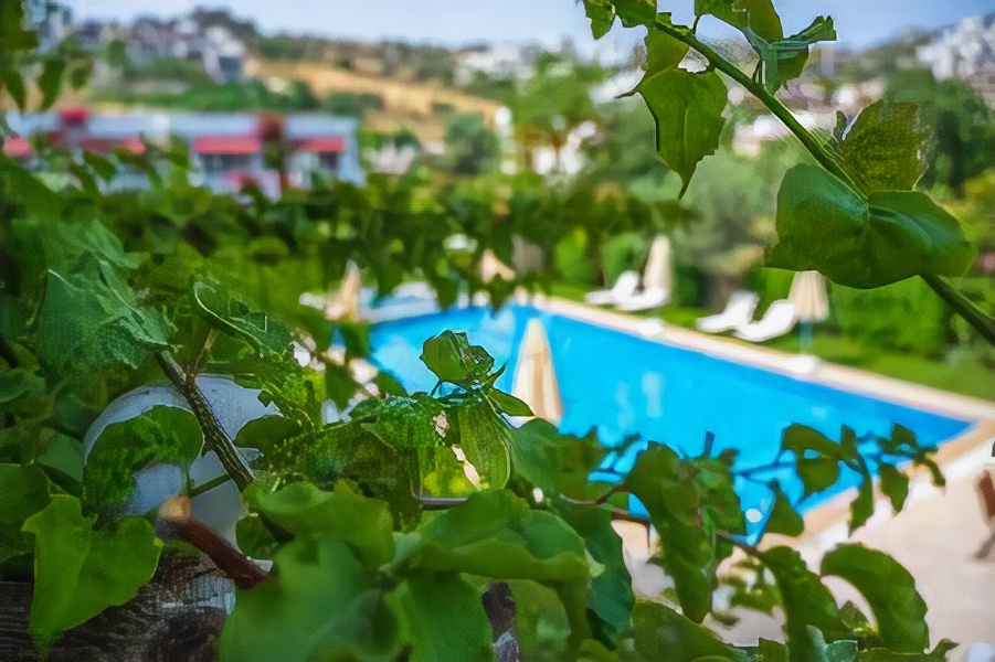 Villa Rustica Hotel