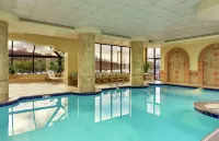 Embassy Suites by Hilton Tysons Corner - Uima-altaat