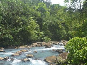 Posada Río Celeste La Amistad