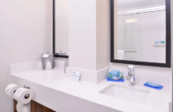 智選假日酒店-新奧爾良藝術區