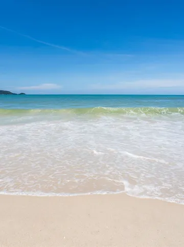 รูปภาพของป่าตอง ฮอลิเดย์ ดรีม