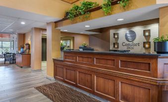 Comfort Inn Okemos - East Lansing