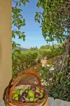Borgo Riccio Các khách sạn ở Torchiara