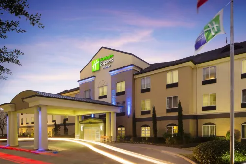 Holiday Inn Express & Suites DFW -葡萄