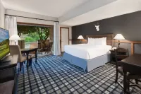 Tapatio Springs Hill Country Resort - Parkplatz