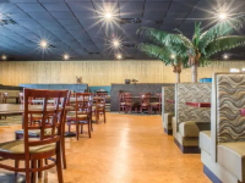 Quality Inn & Suites Palm Island Indoor Waterpark Hotels in Batavia