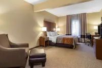 Comfort Inn & Suites Suwanee - Sugarloaf Hoteles en Suwanee