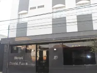 David Plaza Hotel Hotels in Osasco