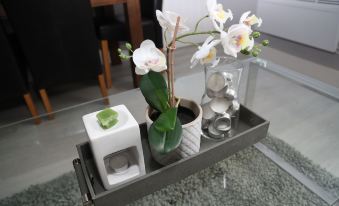 Homely 1-Bed Apartment in Birmingham - Housity