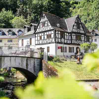 Landgasthof Zur Burg Grenzau Hotel Exterior