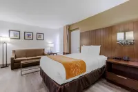 Comfort Suites at Sabino Canyon Hotels in Tucson