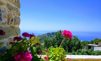 a beautiful view of the ocean from a stone balcony , with pink flowers in the foreground at Villa Rosa