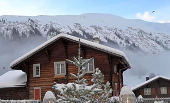 Mountain Lodge Sedrun