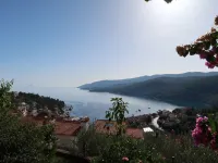 Neda
