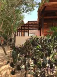 Punta Caliza Hotels in Holbox