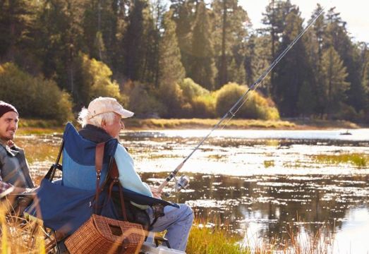 컴포트 인 & 스위트 타이거드 니어 워싱턴 스퀘어