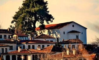 Sihirbazın Evi - Housity
