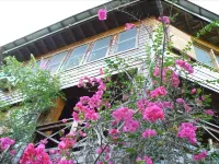 Roatan Bed & Breakfast Apartments