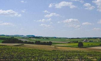 La Vue France