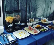 Aparthotel Palace Hotels in 