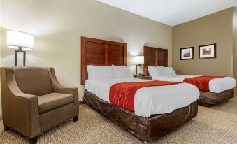 Comfort Inn & Suites Clemson - University Area