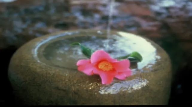 Tsubaki No Yado Yoshidaya