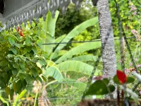 Maison Taina Hoteles en 