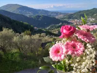 Peace & Plenty 2 - a Few Minutes from the Sea Hotel in zona Big Bench n° 253 Vobbia - San Fermo