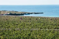 Firriato Hospitality - Calamoni di Favignana Apartments