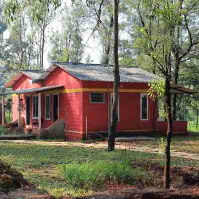 The Jungle Resort Amba Hotel Exterior