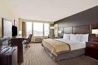 Wyndham Garden Norfolk Downtown Hotels in Norfolk